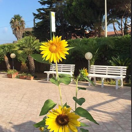 B&B Fiori Gialli Caucana Санта-Кроче- Камерина Экстерьер фото